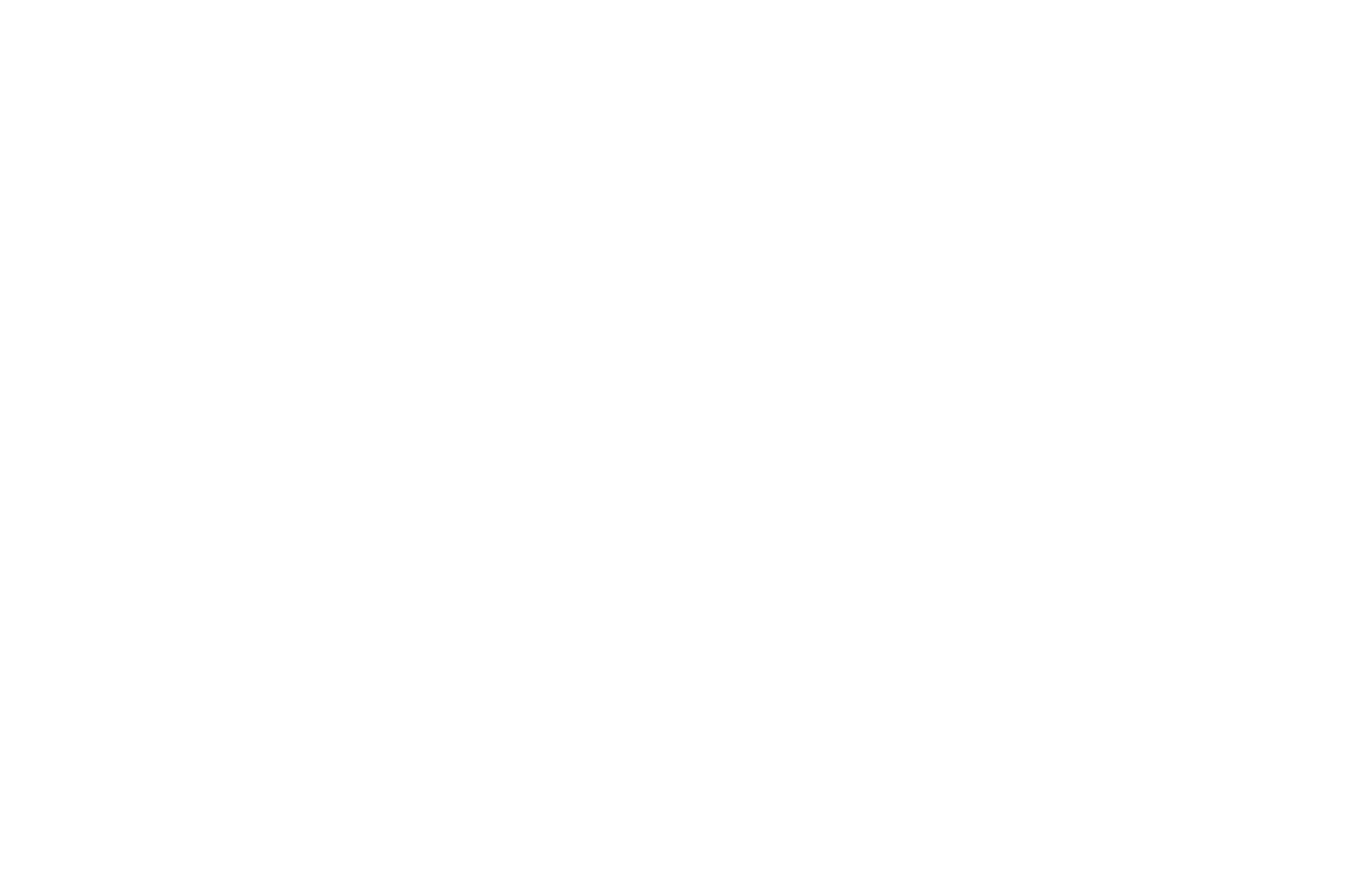 strawberry shop